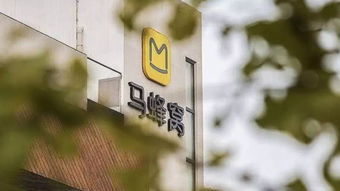 章泽天卸任刘强东关联公司董事，团贷网案冻结资金31.1亿元，ofo承诺负责到底 互联网信息服务领域动态汇总