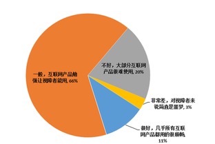 消除数字鸿沟 国内互联网无障碍水平尚待提高